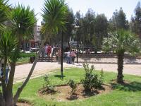 06.jpg
